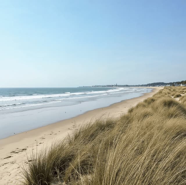 Du sable et des vagues